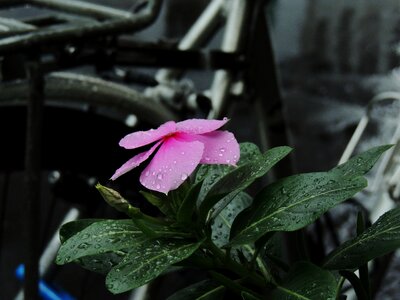 Free stock photo from Flickr