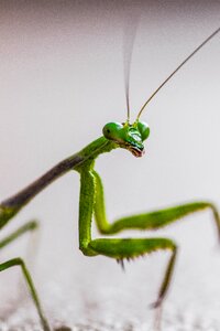 Free stock photo from Flickr