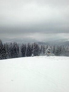 Free stock photo from Flickr