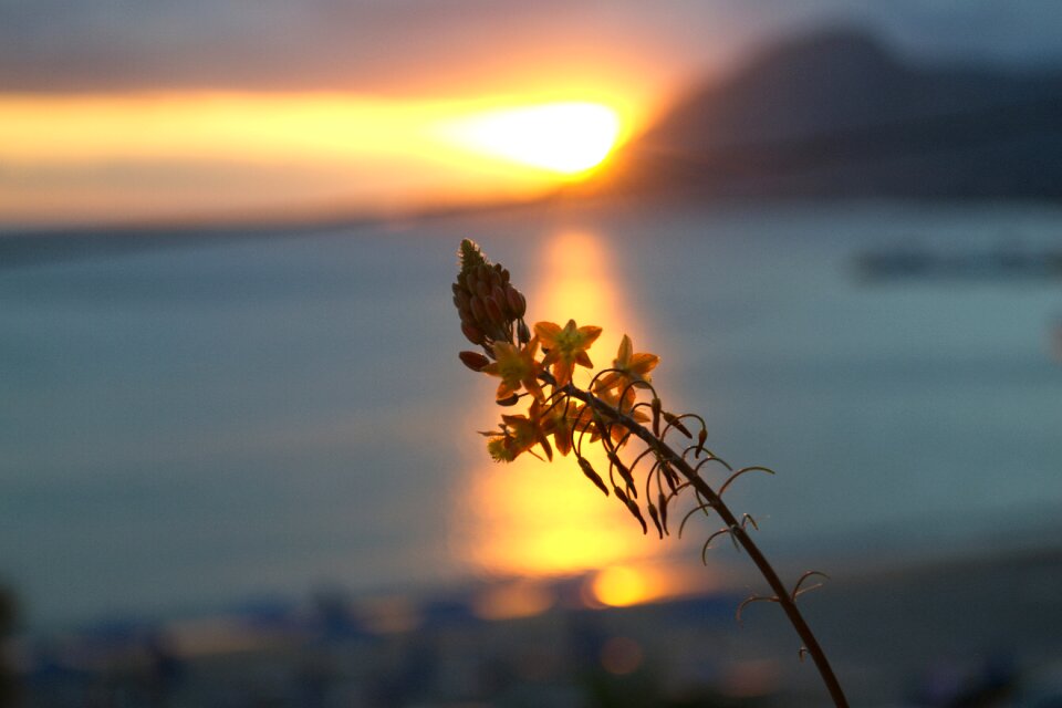 Free stock photo from Flickr
