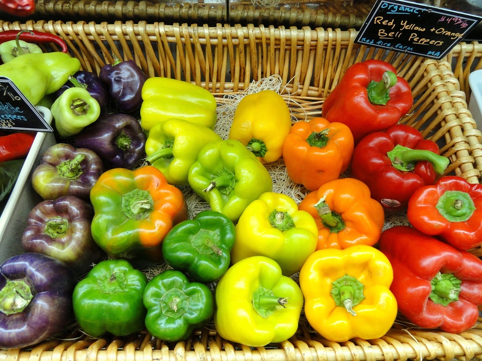 Market shop grocery