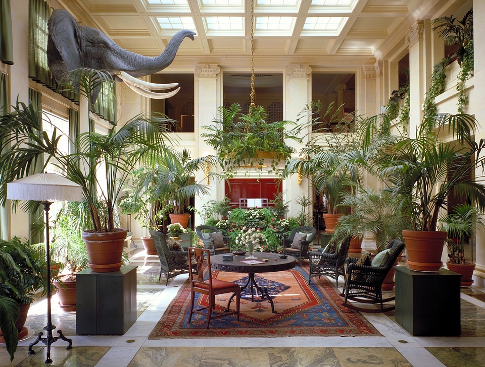 Luxurious indoor luxury