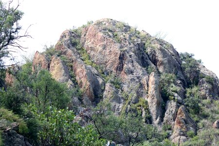 Green Leaf Trees Near Mountain at Daytime photo