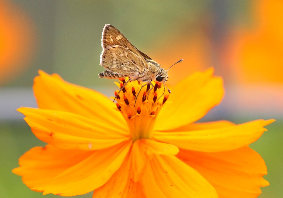 Free stock photo from Flickr