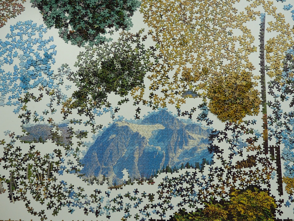 Particles share build