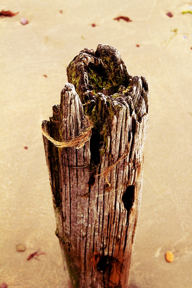 Beach coast water