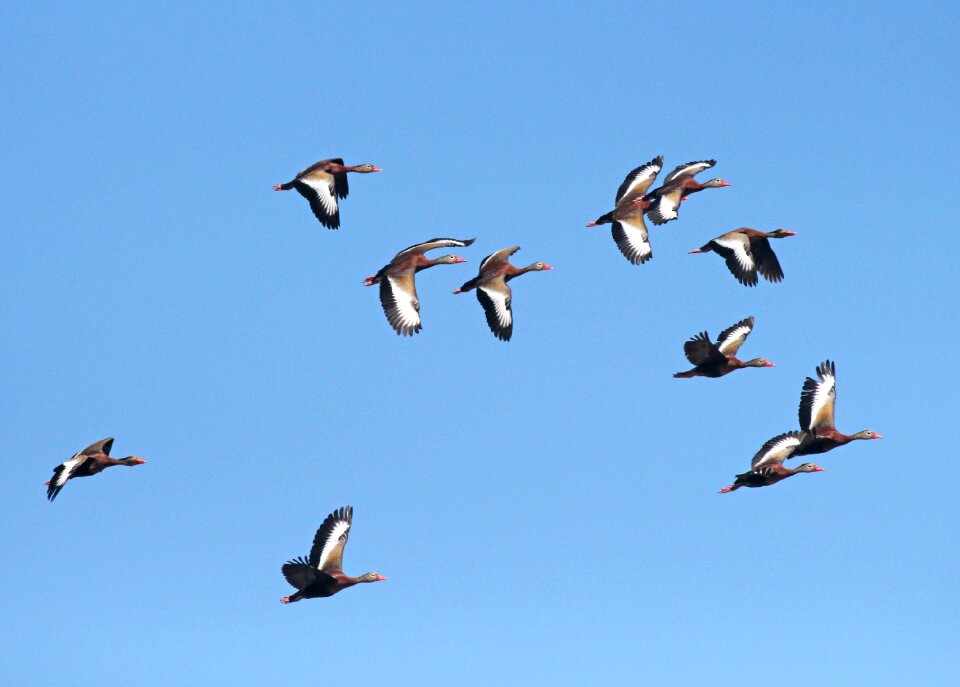 Free stock photo from Flickr