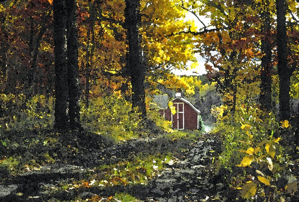 Free stock photo from Flickr