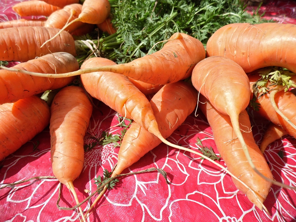 Healthy fresh organic