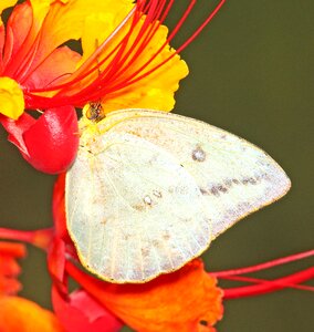 Free stock photo from Flickr