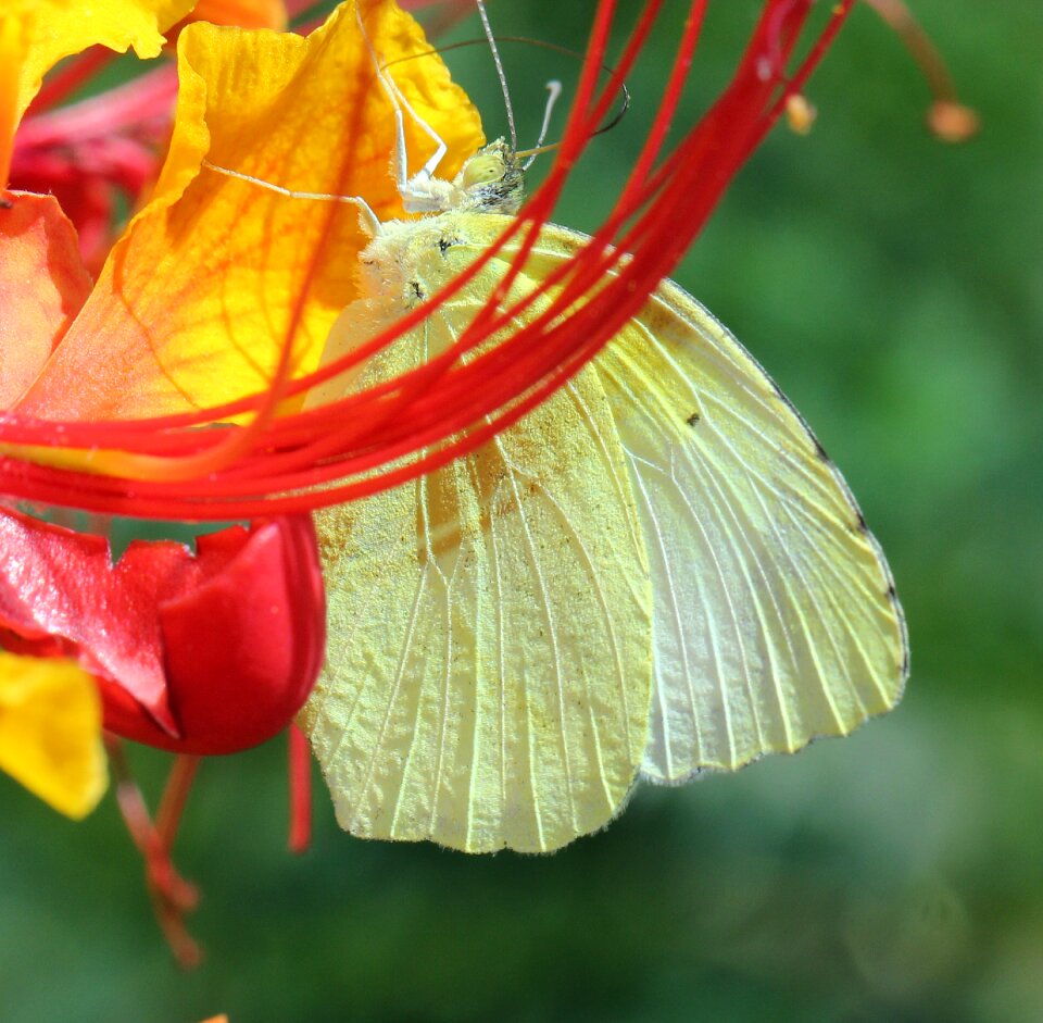 Free stock photo from Flickr