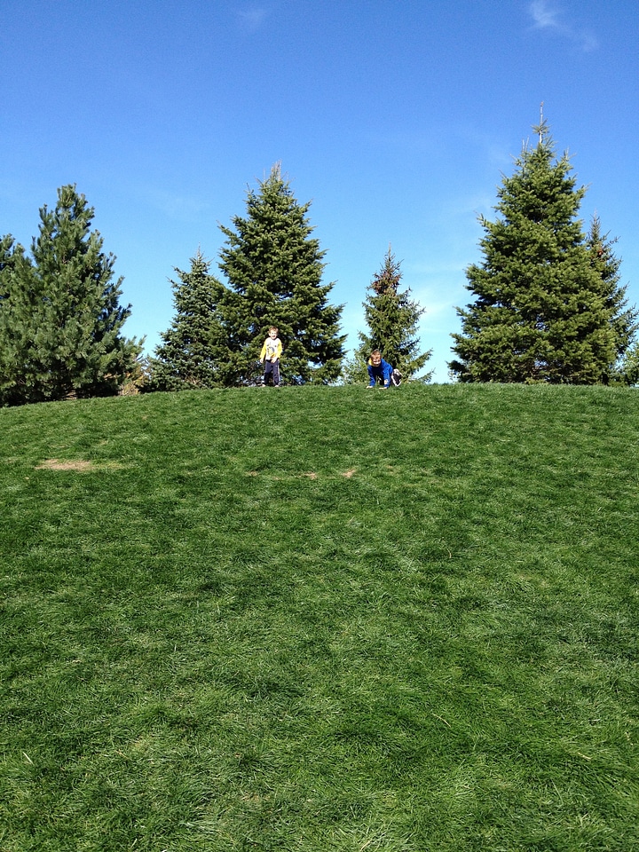 Happy hill grass