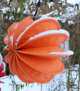 Snow lighting garden photo