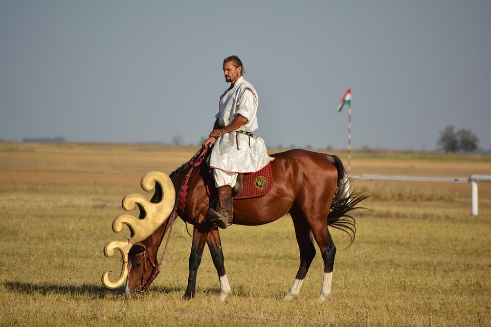 Tradition rider aranyszarvas