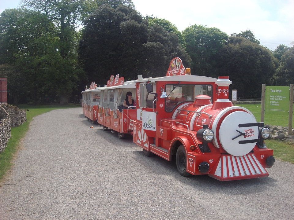 Small train fun train toy