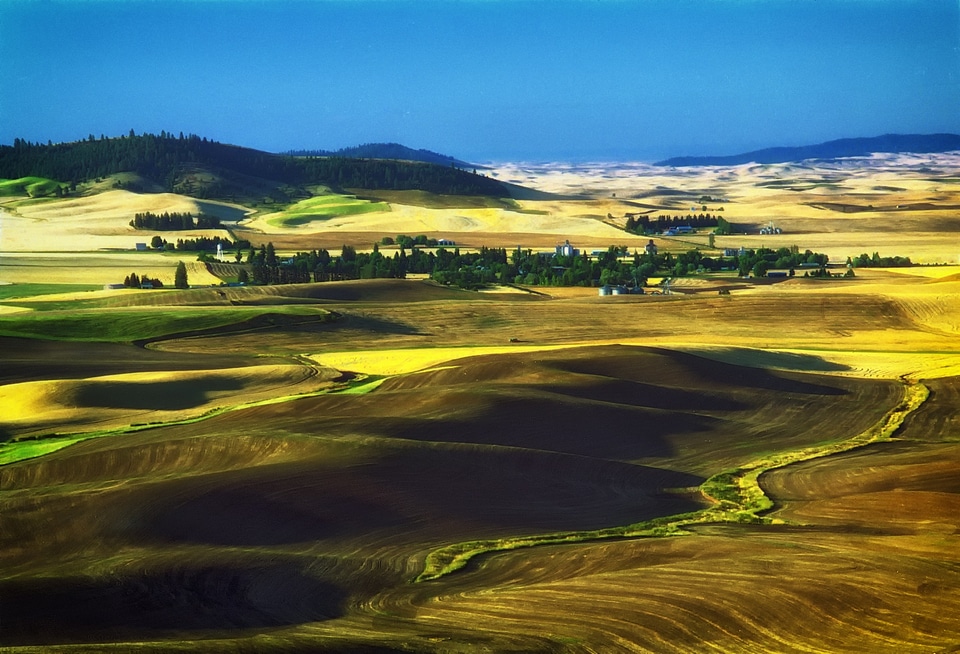 Scenic hills fields
