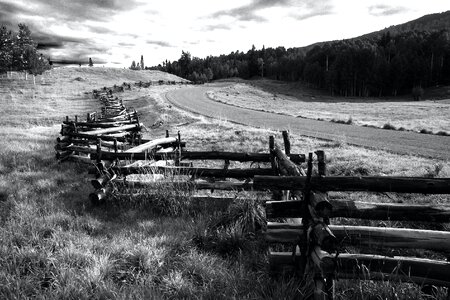 Greyscale Photo of Wooden Fence Near Road photo