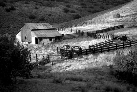 Gray Scale Photo of House on Field photo