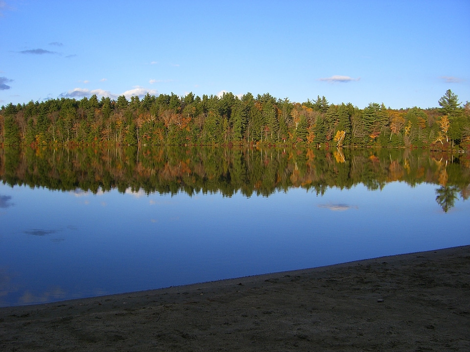 Forests landscape wilderness