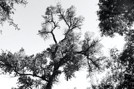 Free stock photo from Flickr