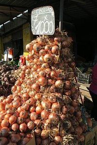 Vegetables food healthy photo