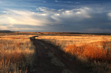 Free stock photo from Flickr