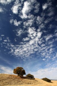 Free stock photo from Flickr