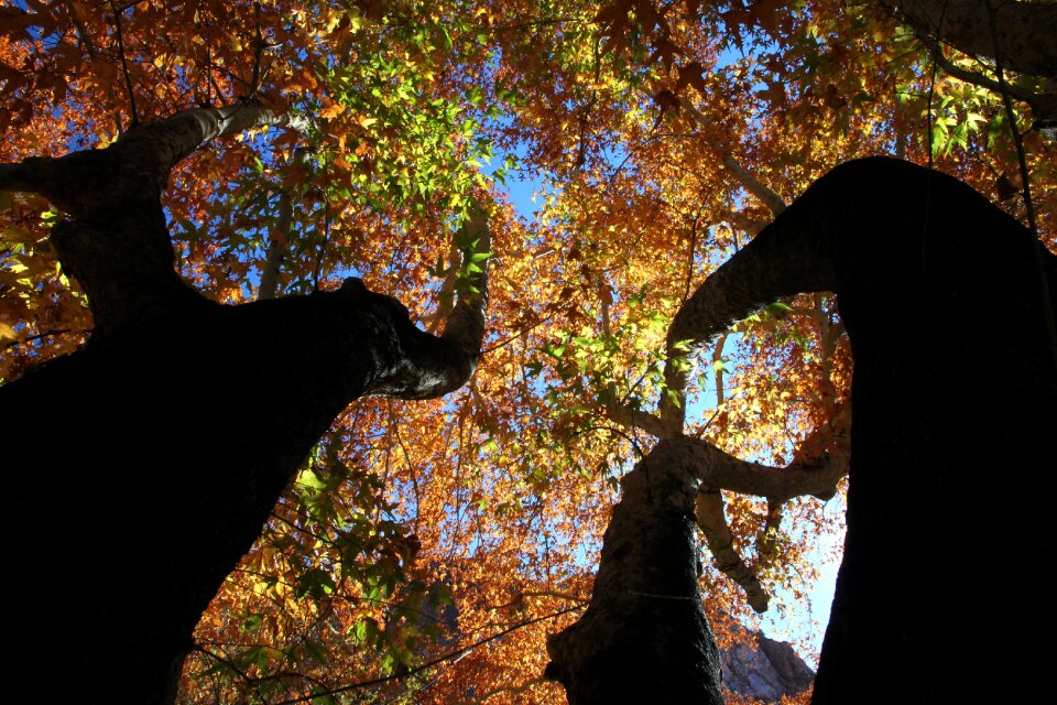 Free stock photo from Flickr