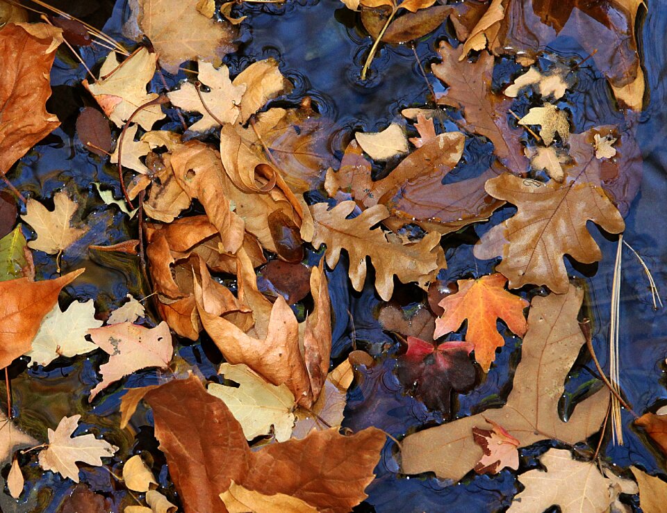 Free stock photo from Flickr
