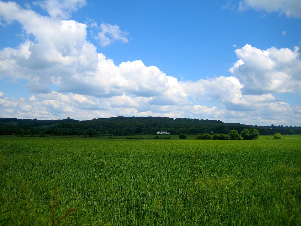 Wilderness scenery natural