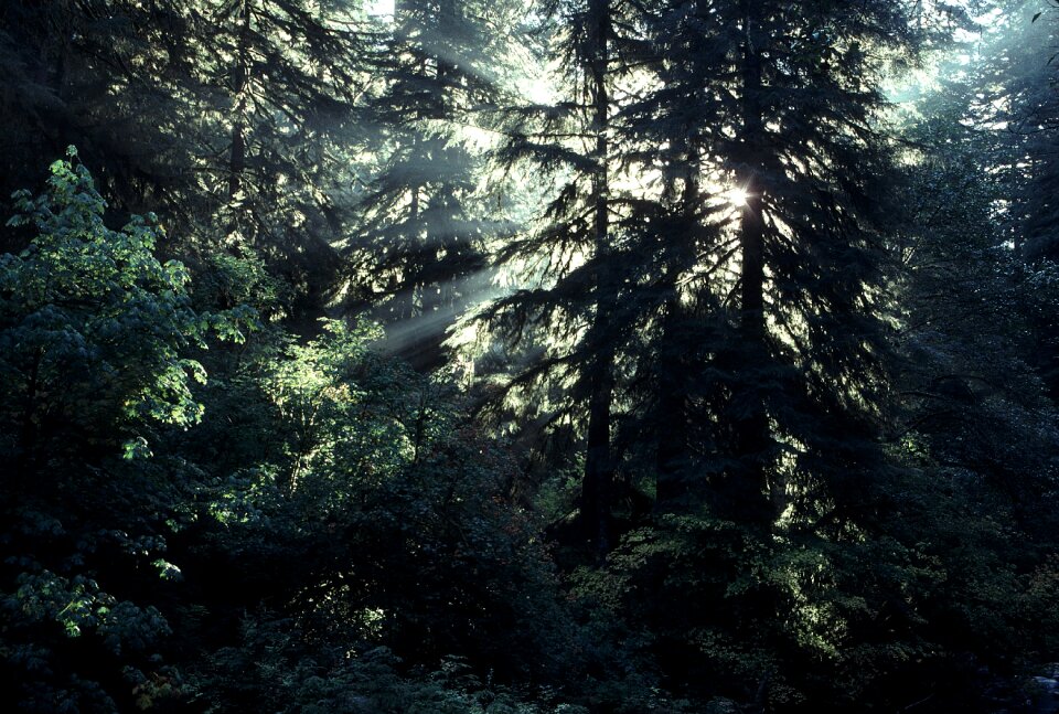 Free stock photo from Flickr