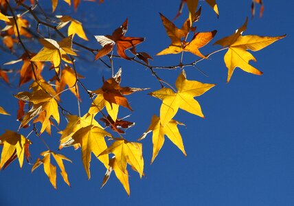 Free stock photo from Flickr