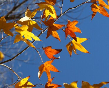 Free stock photo from Flickr