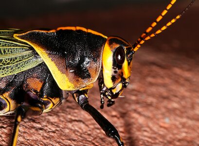 Free stock photo from Flickr