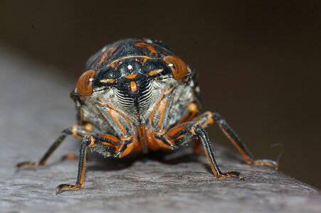 Free stock photo from Flickr