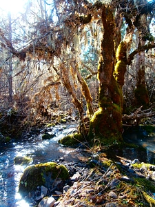 Water stream landscape photo