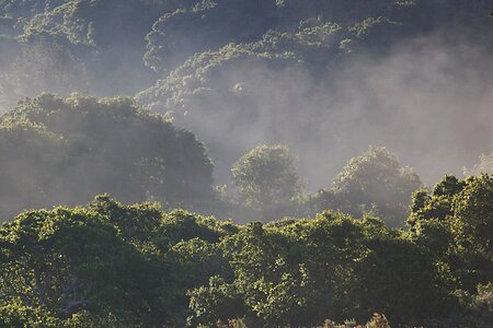 Free stock photo from Flickr