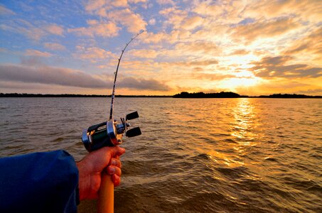 Free stock photo from Flickr