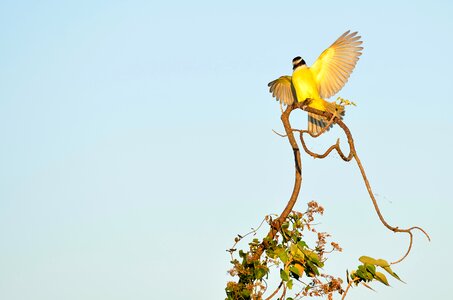 Free stock photo from Flickr