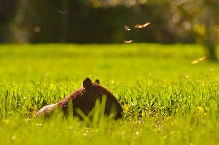 Free stock photo from Flickr