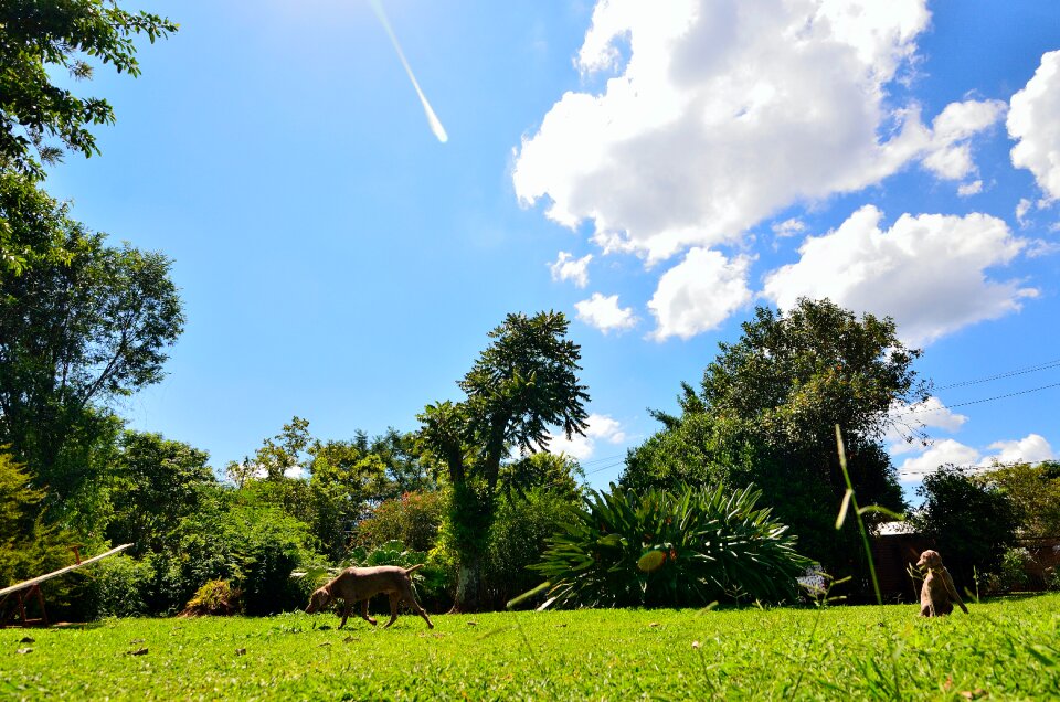 Free stock photo from Flickr