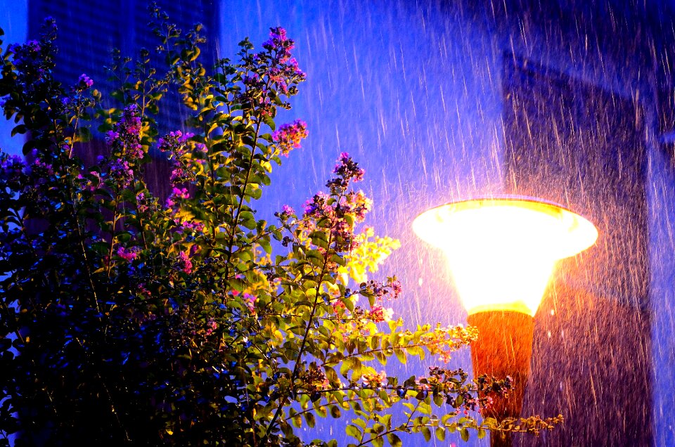 Free stock photo from Flickr