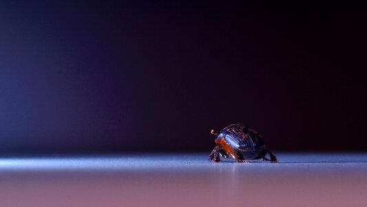 Free stock photo from Flickr