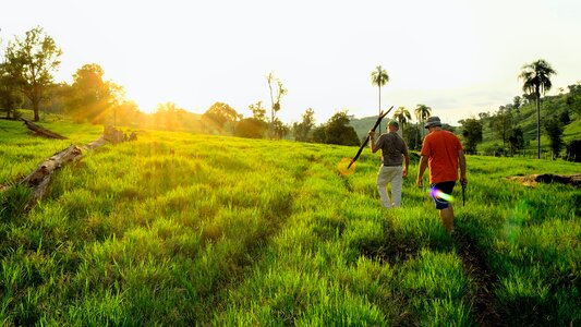 Man Walking Green Field at Daytime