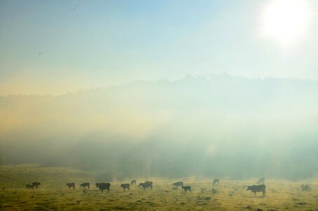 Free stock photo from Flickr