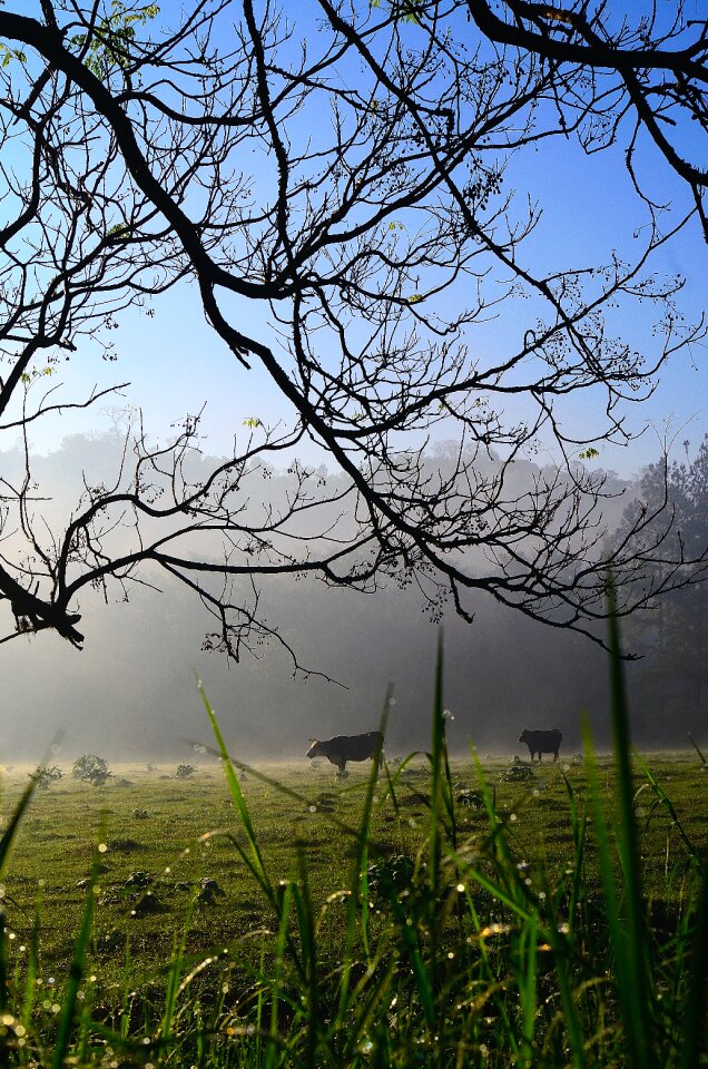 Free stock photo from Flickr