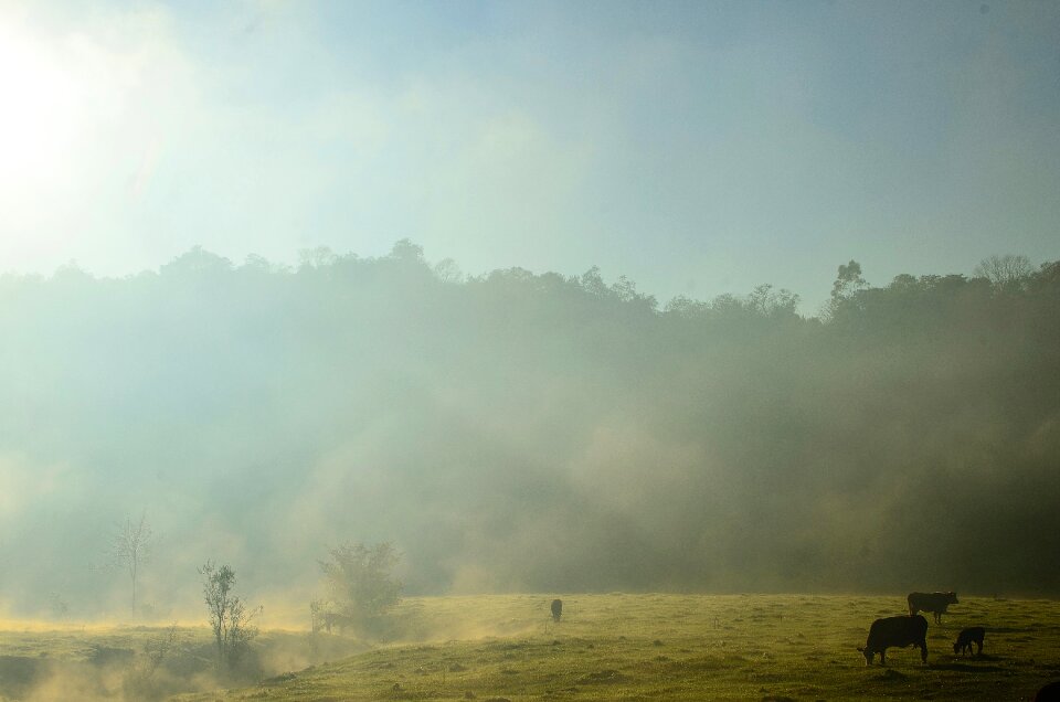 Free stock photo from Flickr