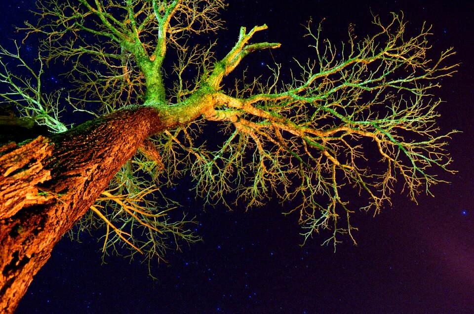 Free stock photo from Flickr