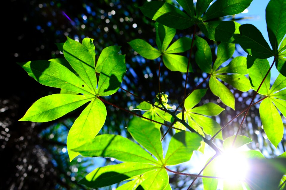 Free stock photo from Flickr