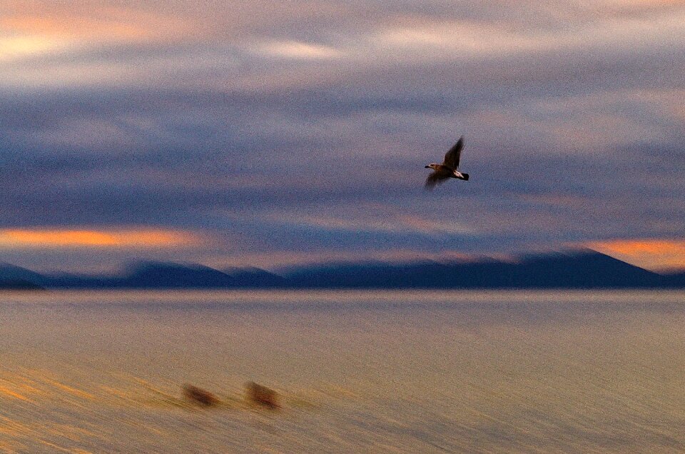 Free stock photo from Flickr